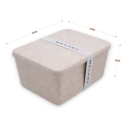 Lidded storage bin for pantry closet shelf cabinet desktop medeium size